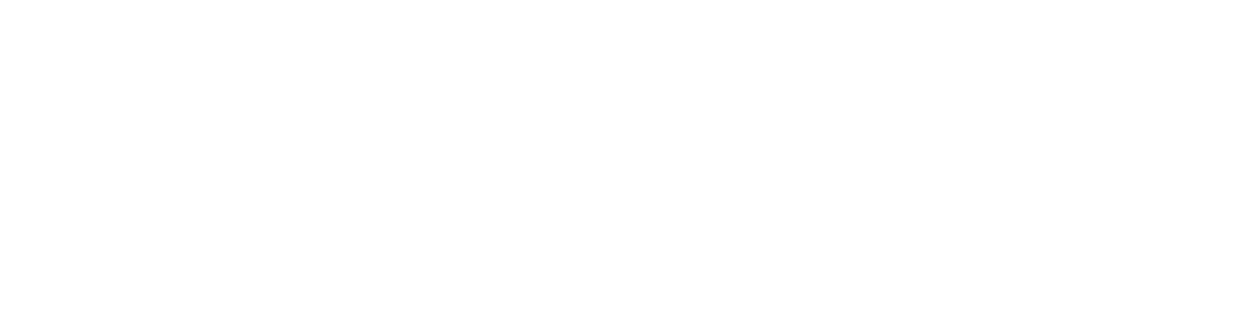 Romanian Society of Medical Informatics